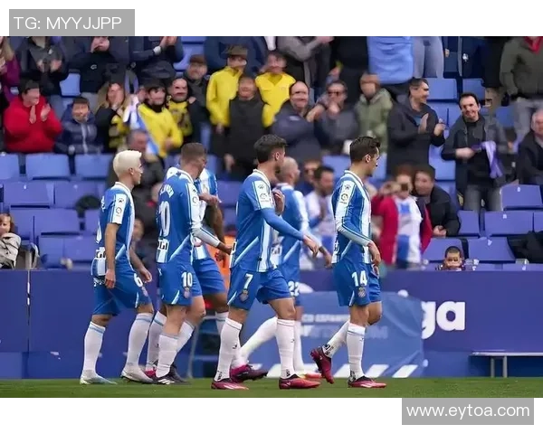 波黑足球明星盘点:那些在国际赛场上闪耀的传奇球员